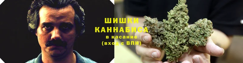 Бошки марихуана White Widow  Костерёво 